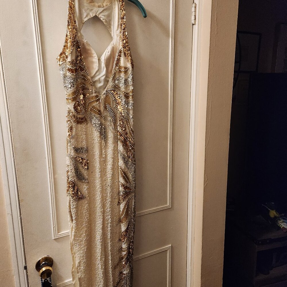 Beautiful Evening Gown